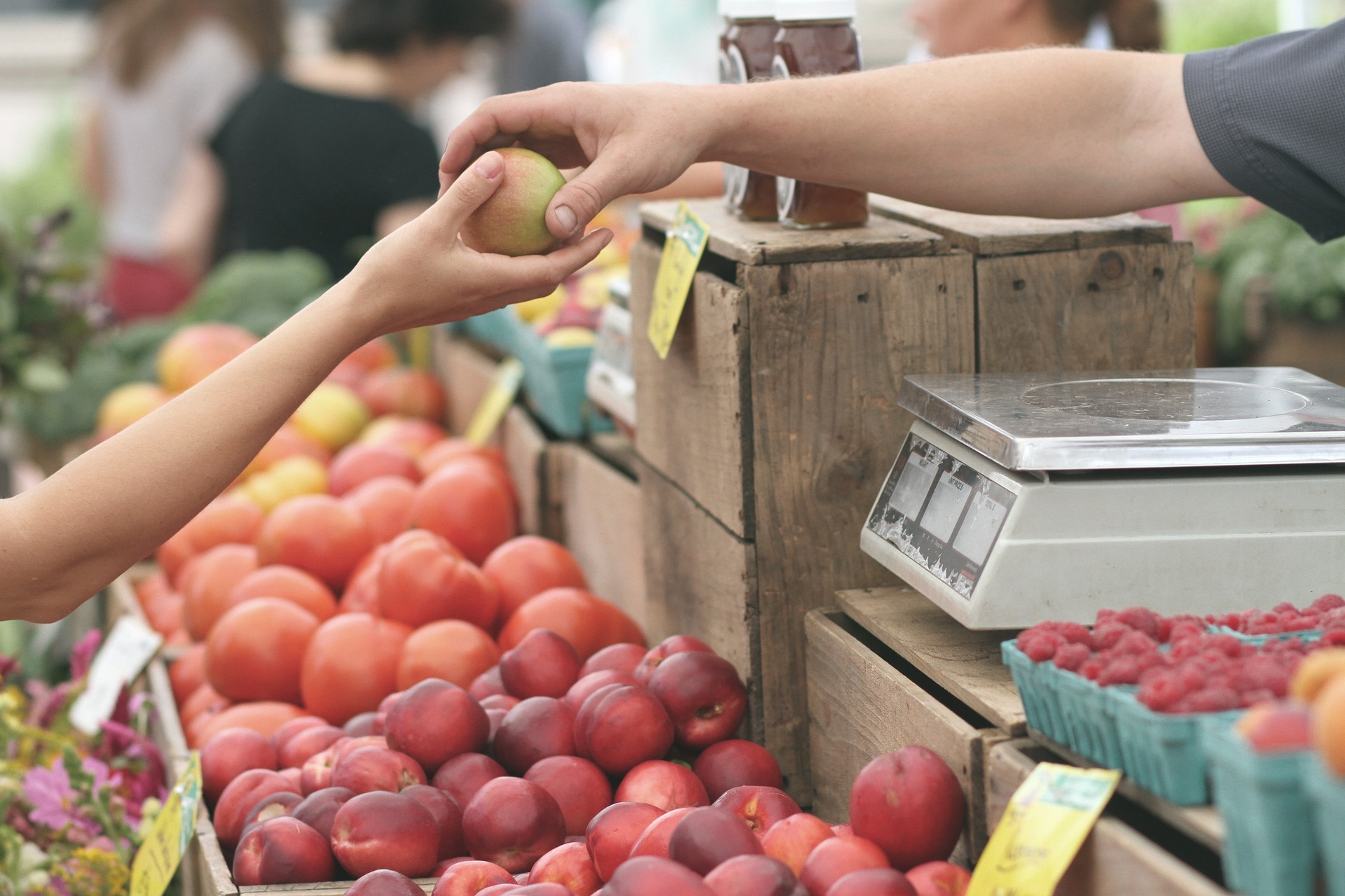 How to Save Money on Groceries When Prices Increase